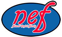 Logotipo Natural English Faculty